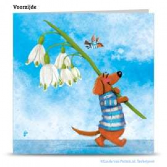 Wenskaart Tobie Teckel met Lenteklokje. 